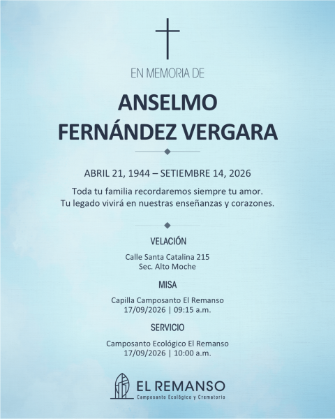 FERNANDEZ VERGARA, ANSELMO
