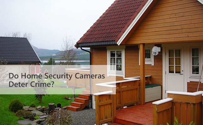 Do criminals fear cctv