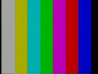 Steve Krieckhaus