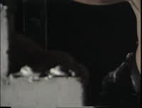 Camera 1 #2