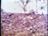 Eddb2e0a ecff 47ee ae6f 61860437d9c3 00002