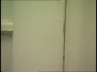 Fd01b80f 09f0 4426 8b07 1ade637c0bc8 00002