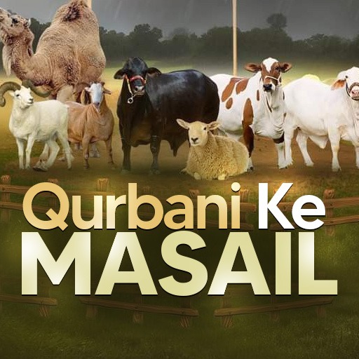 Qurbani Ke Masail Image