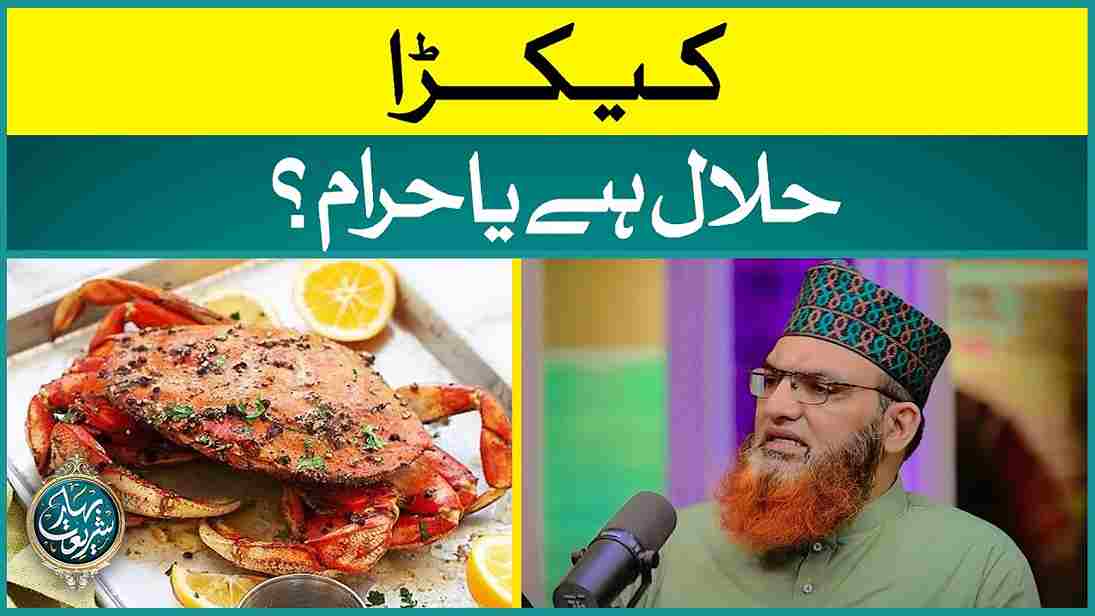 Kekra Halal Hai Ya Haram Hai? Image