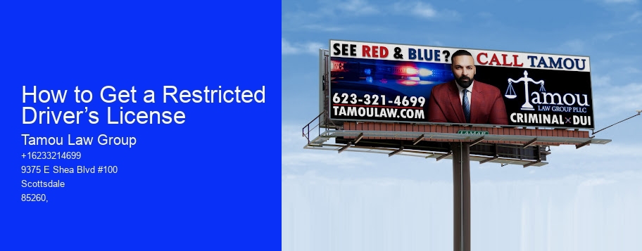 How to Get a Restricted Driver’s License