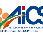 Regolamenti AICS