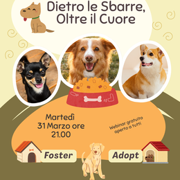 Dietro le Sbarre, Oltre il Cuore