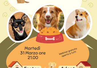 Dietro le Sbarre, Oltre il Cuore