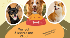 Dietro le Sbarre, Oltre il Cuore