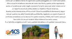 Passeggiata "Le 7 cascate e il laghetto Fametta"