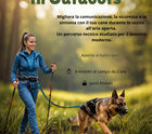 Gestione del Cane in Outdoors
