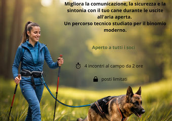 Gestione del Cane in Outdoors