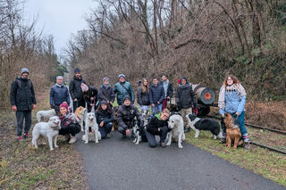 Ferrovia della Valmorea - 25 Gennaio 2026