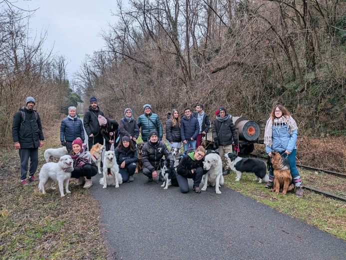 Ferrovia della Valmorea - 25 Gennaio 2026