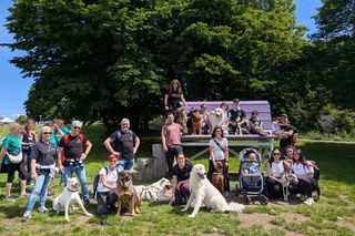Giro del lago di Comabbio - 17 Maggio 2026