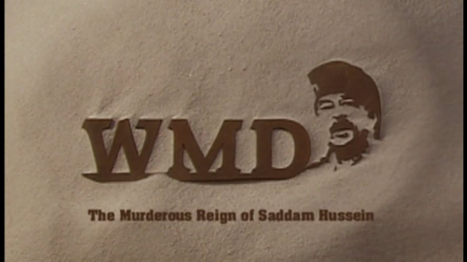 Video Image