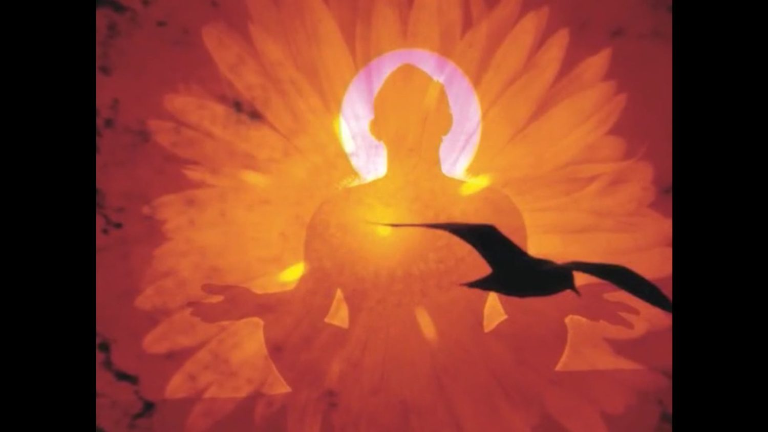 Video Image