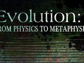 EVOLUTION: FROM PHYSICS TO METAPHYSICS