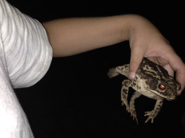 Back at Dell, Docker Forking, Healthcare IT, & DevOps - Coté Memo #15