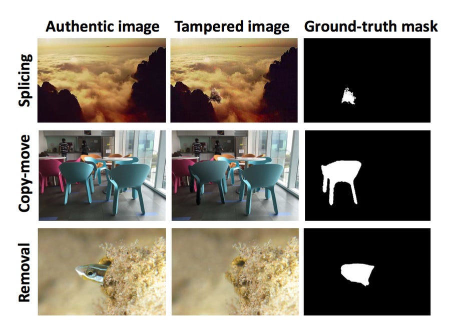 The three methods of image tampering that Adobe's AI detects (so far)