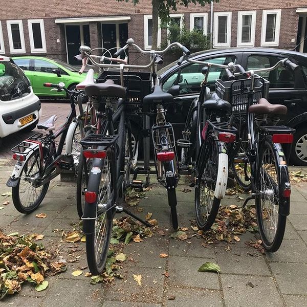 Coté's Commonplace Book #43