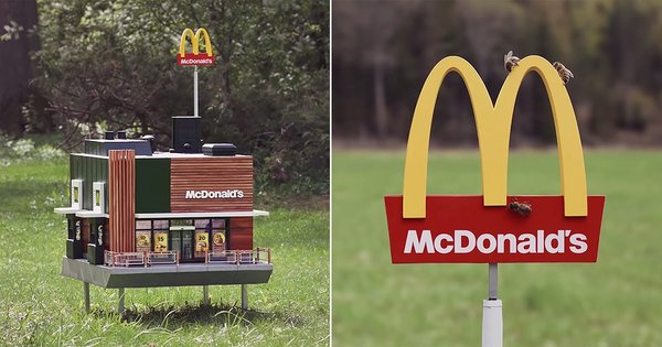 mcdonald's opens world's smallest restaurant for bees