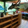 New York’s Legendary Strand Book Store Creates Six New Libraries for Fresh Air Camps
