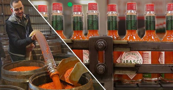 How the Tabasco Factory Makes 700,000 Bottles of Hot Sauce Per Day
