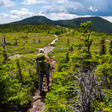 Get your steps in by virtually hiking the Appalachian Trail