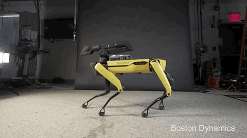 kicking robot dog