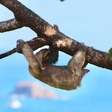 Viajar a Costa Rica durante el covid-19: lo que debes saber antes de ir