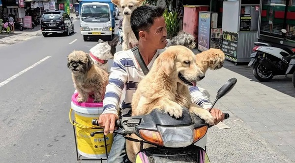 Live well in Bali for $1,500 a month