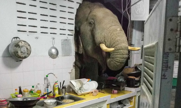 Twenty photographs of the week | Art and design 