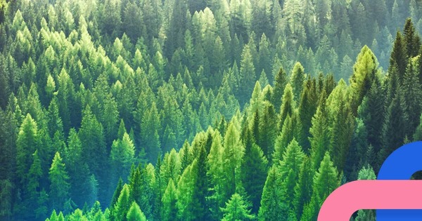 Pino@7 is out! - Adventures in Nodeland - Issue #31