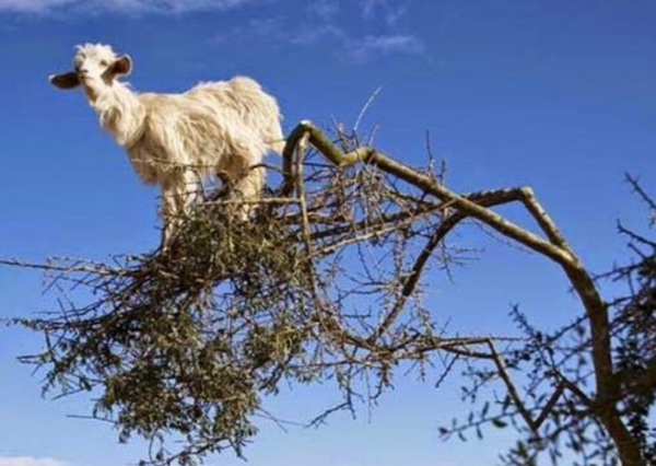 Transformation is a load of old b*ll*cks, isn’t it?