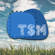Using tsm as a shebang interpreter in TypeScript - LogRocket Blog