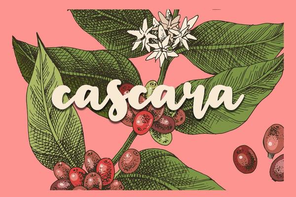 Cydni Patterson Interviews Sierra Yeo On The Cascara Podcast