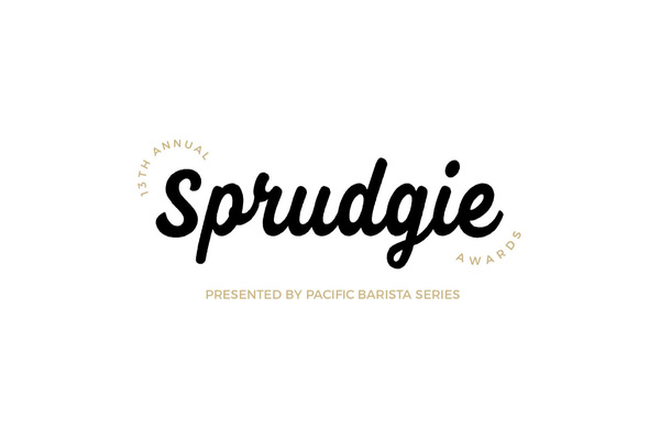 The Thirteenth Annual Sprudgie Award Winners, Honorees, And Finalists