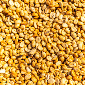 What is Honey Processed Coffee?