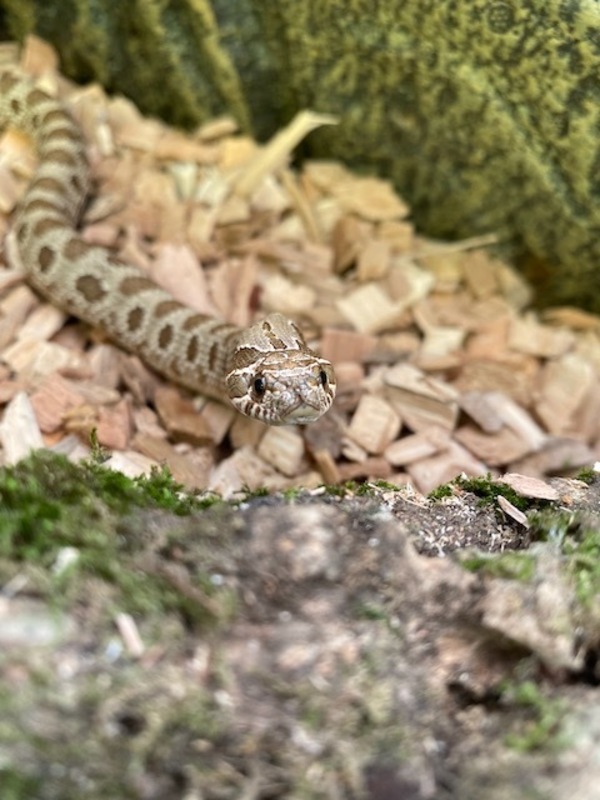 IRL OKRs - Coté's Commonplace Book - Issue #60