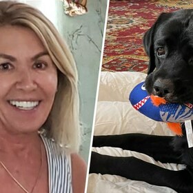 Loyal Labrador retriever helps save missing woman with dementia