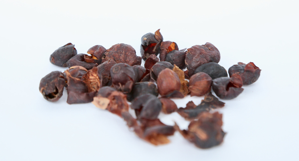 What Is Cascara?