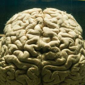 Four science-backed strategies to stop a vicious cycle of self-defeating thoughts