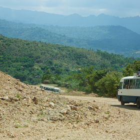 What Is Heirloom Coffee?