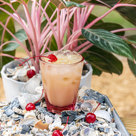 The Tropical Fog At Finca To Filter In Atlanta, Georgia