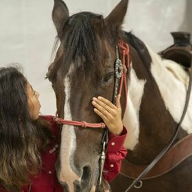 School hopes 'life-changing' donation — 3 horses — will help stressed students heal