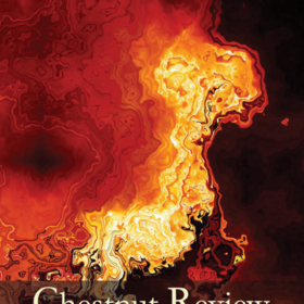 Chestnut Review – for stubborn artists