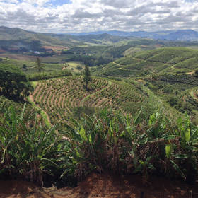 Brazilian Coffee Stockpiles Could Get Dangerously Low