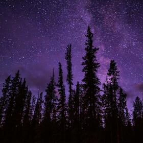 🌲The Konik Method for Making Useful Notes