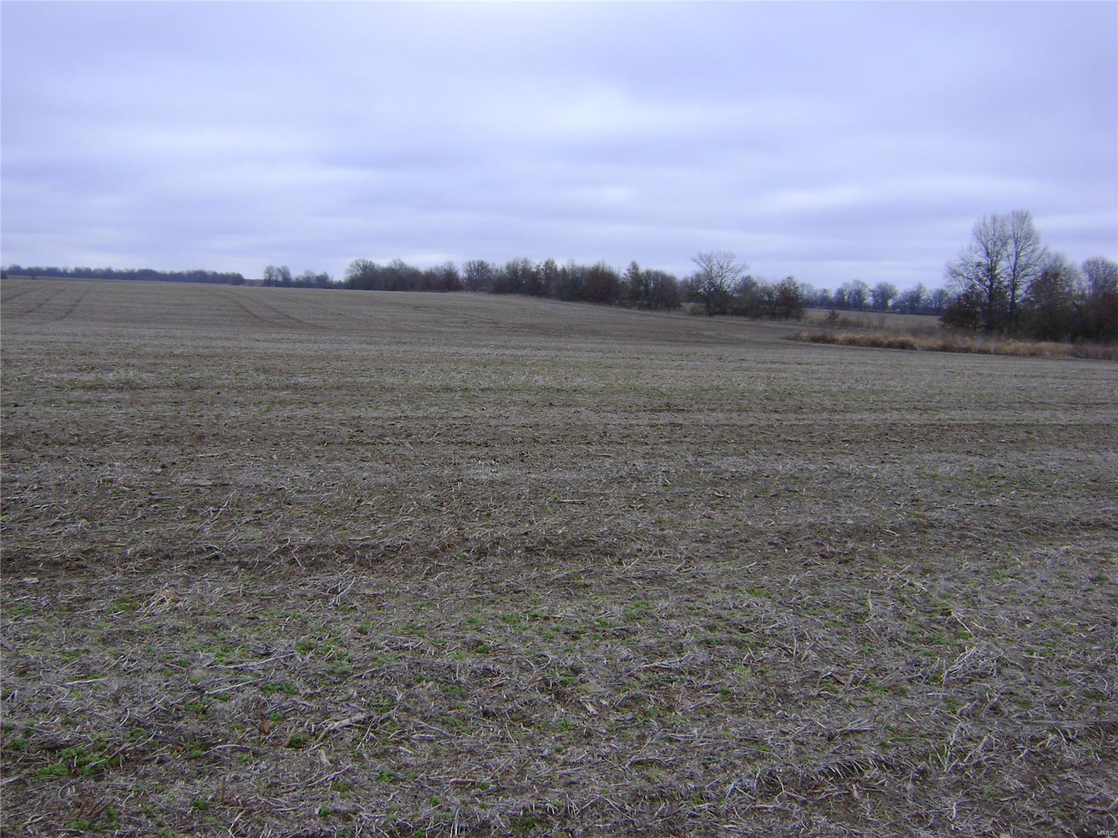 Photo of 0 highway m Curryville MO 63339